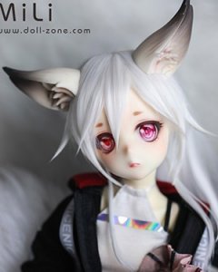 dollzone lumu